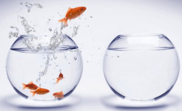 get out of your comfort zone