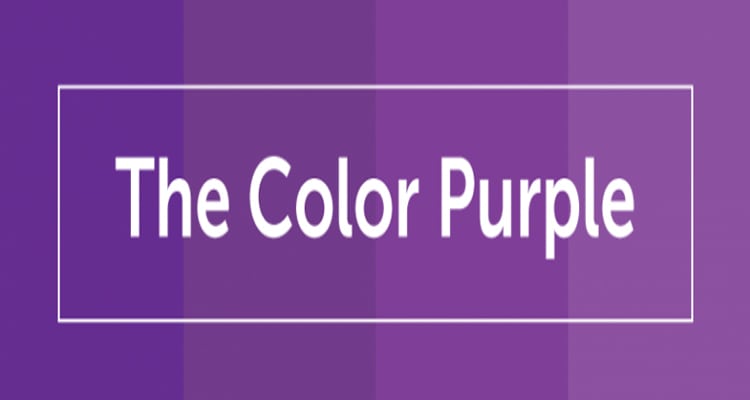 What your logo Colors say about your brand