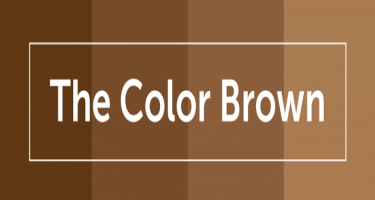 What your logo Colors say about your brand