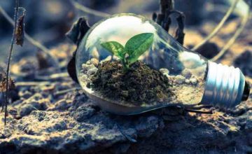 Growing your startup for green production
