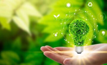 sustainability in business