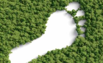 save energy carbon footprint reduction.jpg