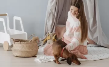 pet supplies pet business