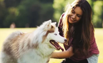 National Pet Day Off